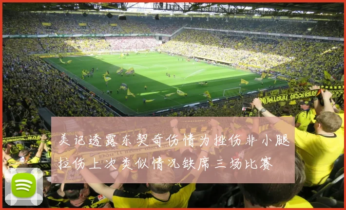 美记透露东契奇伤情为挫伤非小腿拉伤上次类似情况缺席三场比赛