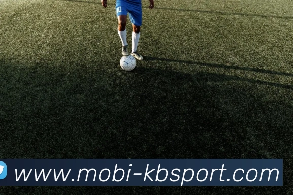 KB体育平台生态图